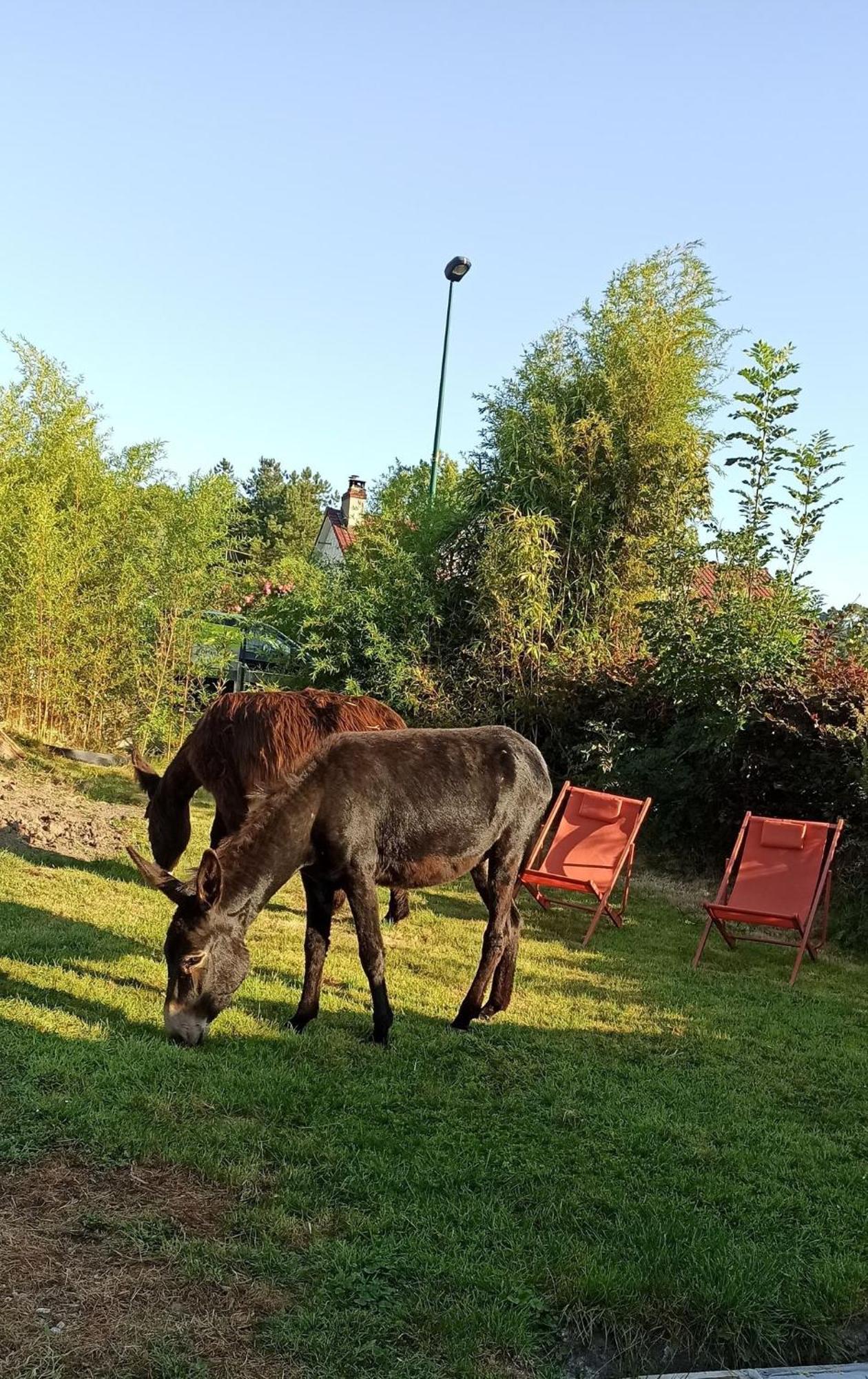 Les Anes Du Chateau D Hardelot, Pour 2 A 5 Pers Condette Exterior photo